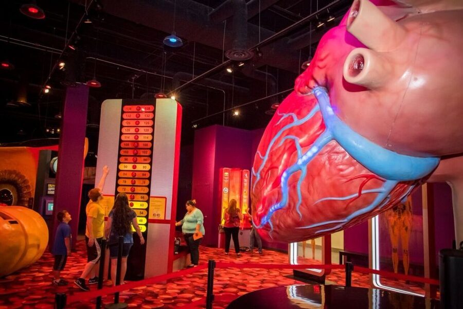 Houston: 1-Day or 3-Day Museum Pass - The Children’s Museum of Houston with kids