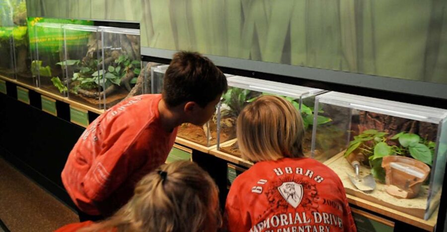 Houston Museum of Natural Science: Butterfly Center Ticket - Watching butterflies at close range