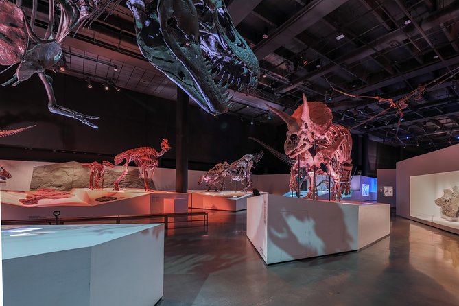 Houston Museum of Natural Science General Admission - The dinosaur hall deserves first choice