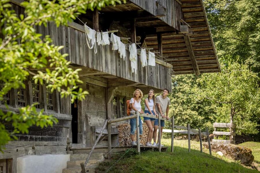 Interlaken: Admission ticket for the Ballenberg Open-Air Museum - Key points to know before you go