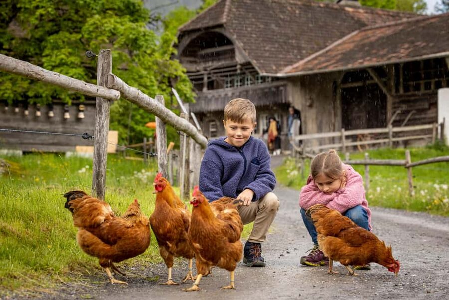 Interlaken: Admission ticket for the Ballenberg Open-Air Museum - Gardens, animals, and family-friendly stops