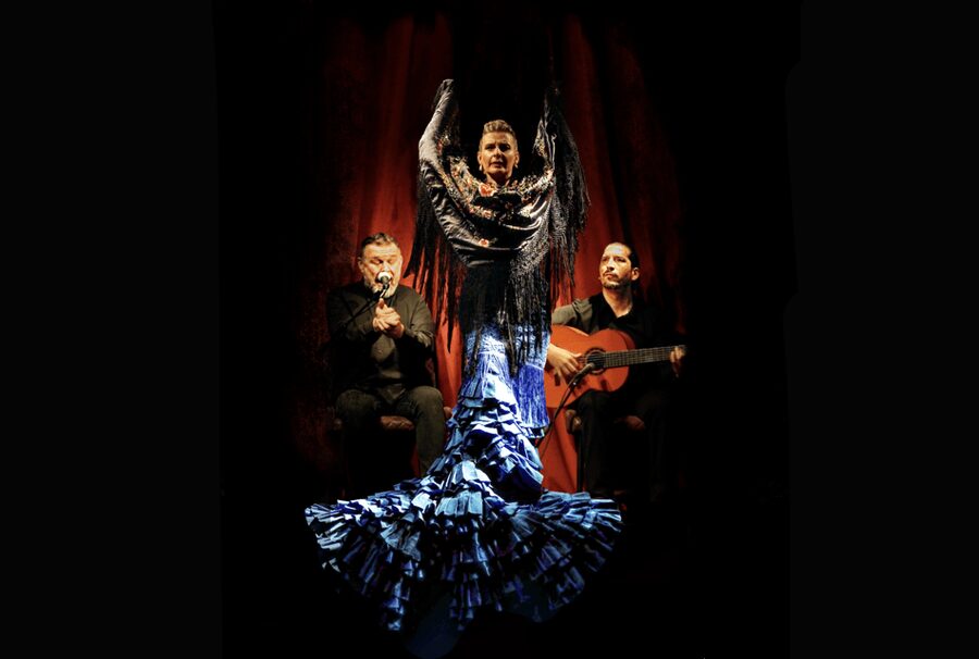 Intimate Authentic Flamenco Show in Barcelona at Casa Sors - Why the guitar museum is more than an add-on