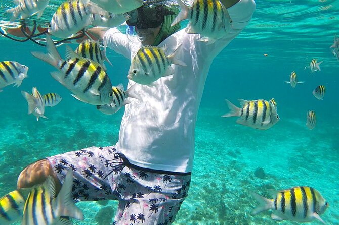 Isla Mujeres: Snorkeling Adventure at the Underwater Museum - Sac Bajo Reef: more marine life to spot
