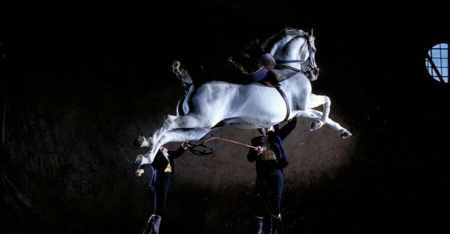Jerez de la Frontera: Andalusian Horse Dance and Museums - Key points to know before you book