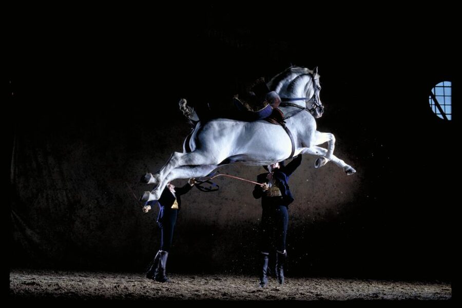Jerez de la Frontera: Andalusian Horse Dance and Museums - Arriving at the Royal Andalusian School