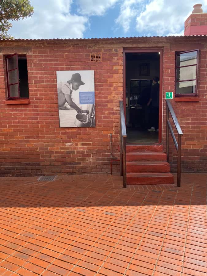 Johannesburg: Soweto & Apartheid Museum Half-Day Tour - Why this tour works for a first look at Johannesburg