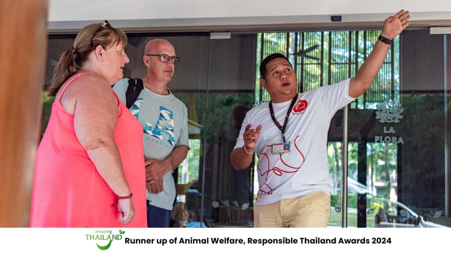 Khao Lak Eco-Safari: Elephants, Tsunami Museum, and Turtles - Key points at a glance