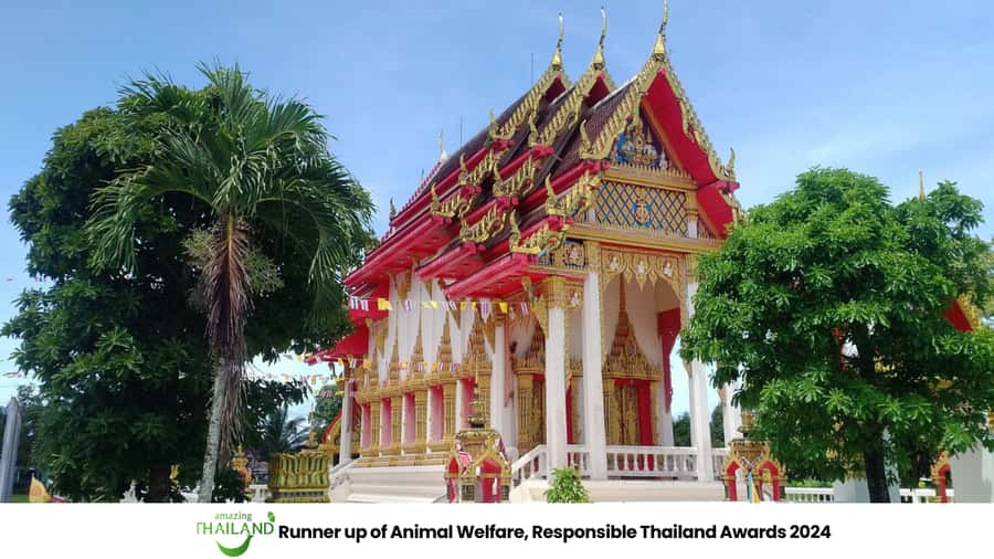 Khao Lak Eco-Safari: Elephants, Tsunami Museum, and Turtles - A wildlife encounter built around observation