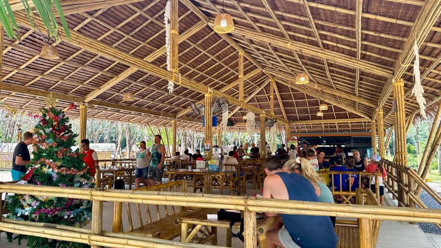 Khao Lak Eco-Safari: Elephants, Tsunami Museum, and Turtles - How the four-hour schedule works