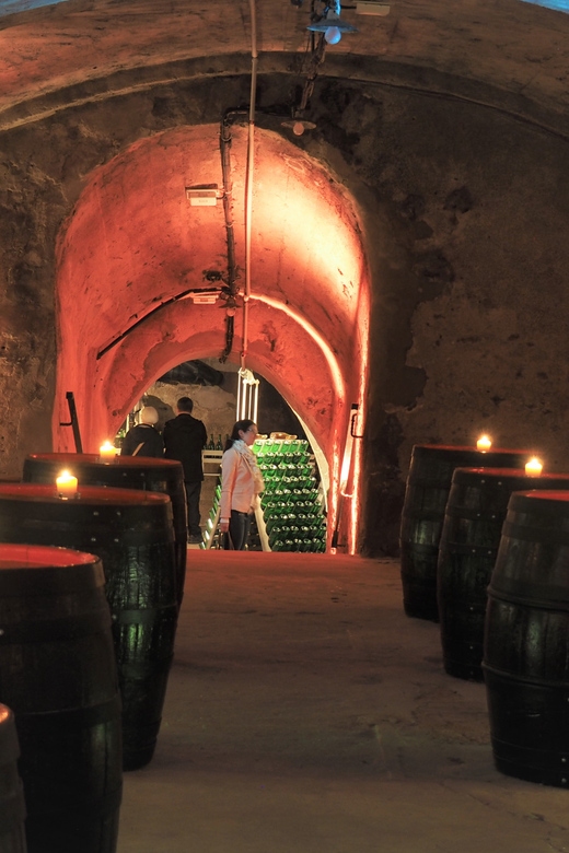 Koblenz: Historical Sparkling Wine Museum Guided Tour - Is $24 a Fair Price?