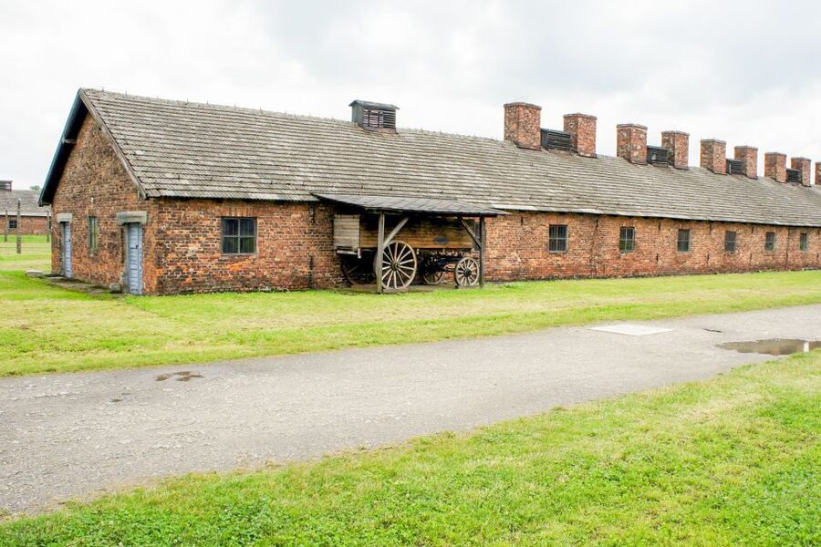 Krakow: Auschwitz Birkenau Museum Guided Tour with Pickup - Transport, group size, and the value of the price