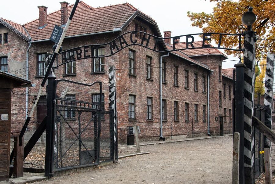 Krakow: Auschwitz Birkenau Museum Guided Tour with Pickup - Who should choose this Auschwitz tour?