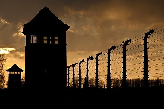 Krakow: Auschwitz-Birkenau Tour & Museum Expert Guide - Why the two camps matter