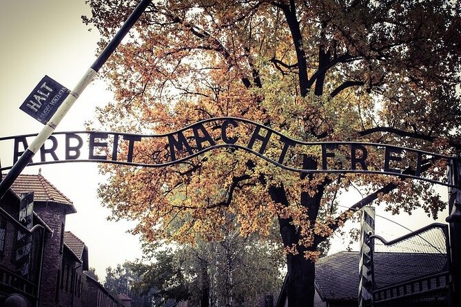 Krakow: Auschwitz-Birkenau Tour & Museum Expert Guide - How the guiding affects the experience