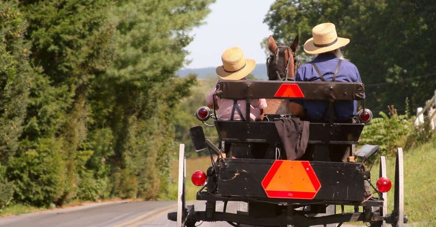 Lancaster County: Amish Farmlands, Museum Tour, Farm Visit - Key points to know before booking