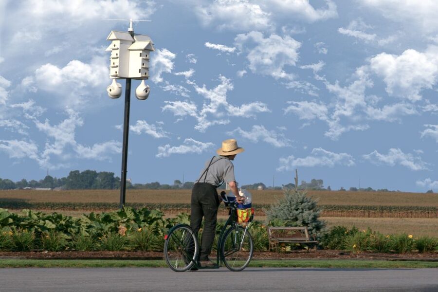 Lancaster County: Amish Farmlands, Museum Tour, Farm Visit - Three hours, three different looks at Amish Country