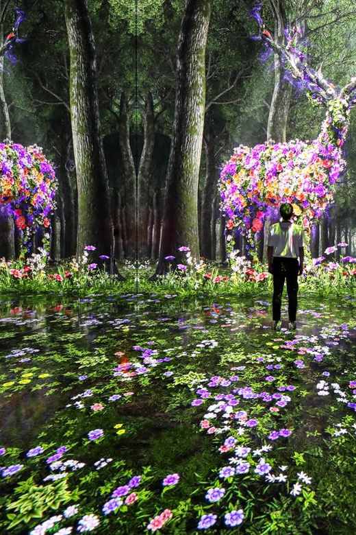 Las Vegas: Arte Museum Las Vegas Immersive Art Exhibition - Finding the museum near the Strip