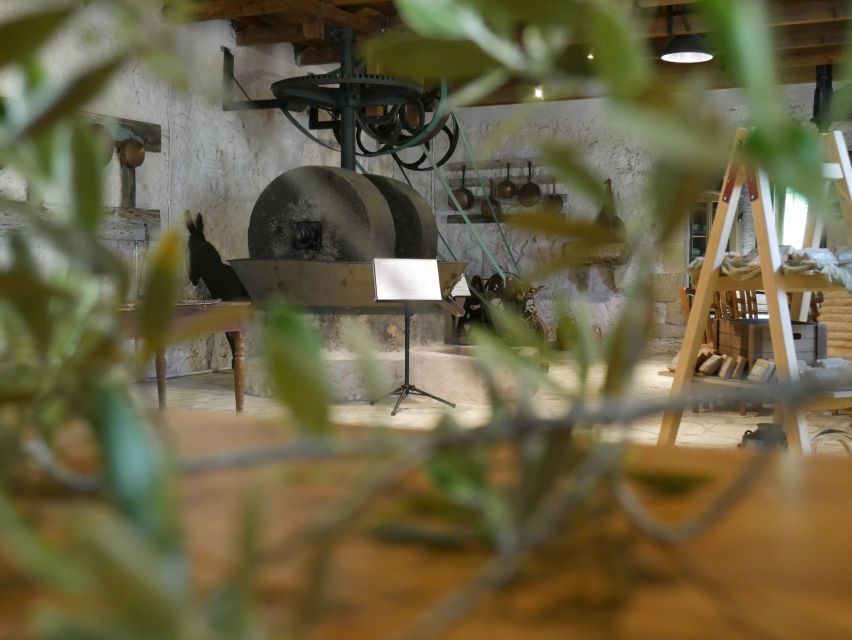 Lefkada: Olive Museum Fabbrica Ticket and Guided Tour - Is the $2.82 price good value?