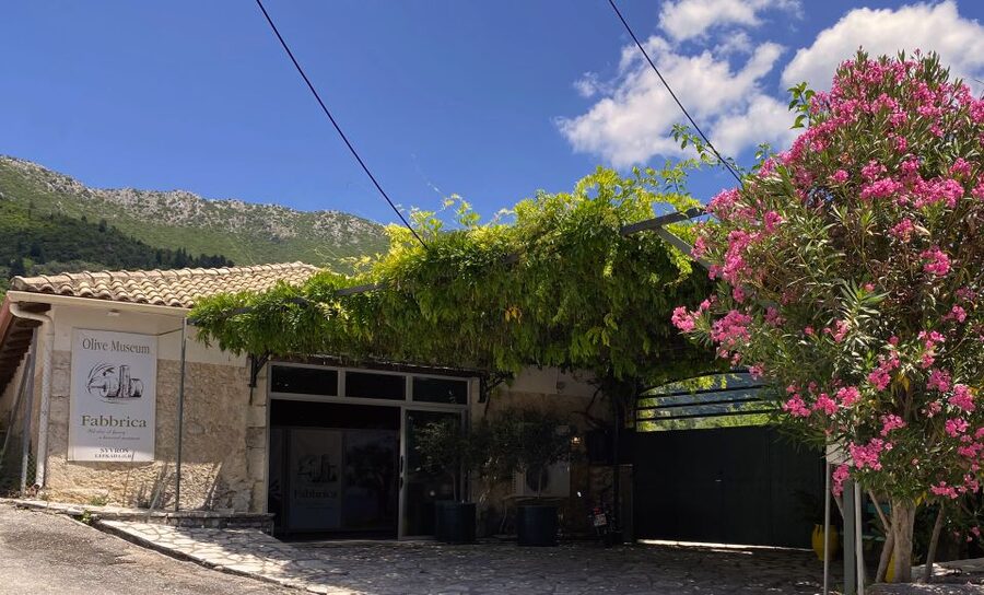 Lefkada: Olive Museum Fabbrica Ticket and Guided Tour - Who will enjoy the Fabbrica Olive Museum?