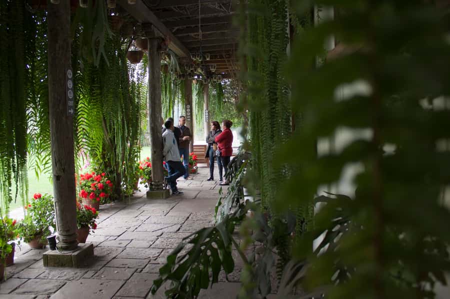 Lima: Half-Day Colonial Lima and Larco Museum Tour - Why the four-hour schedule can feel tight
