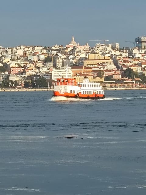 Lisbon: Belem, Jeronimos Monastery, and Coach Museum Tour - My call on booking