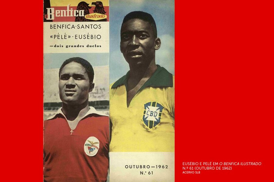 Lisbon: Customized Luz Stadium and Guided Museum Tour - How much time should you allow?