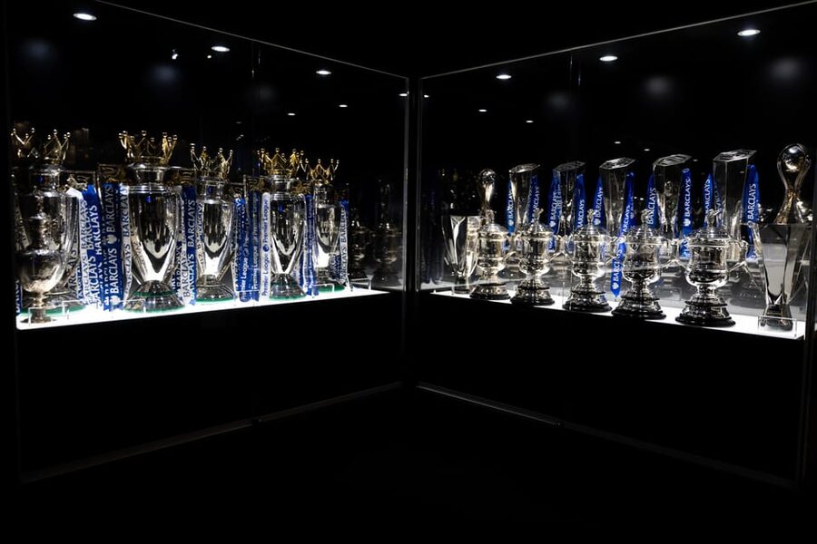 London: Chelsea FC Museum and Stamford Bridge Classic Tour - Who will enjoy this Chelsea tour most?