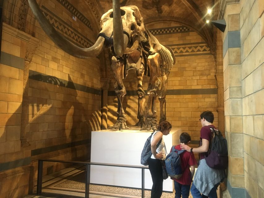 London: Natural History Museum Entry Ticket and Guided Tour - Key points at a glance