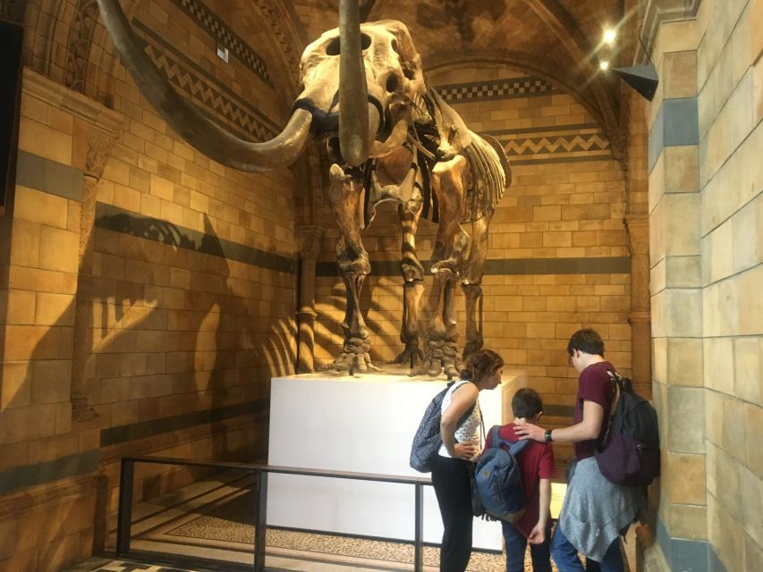 London: Natural History Museum Entry Ticket and Guided Tour - Why this one-hour format works