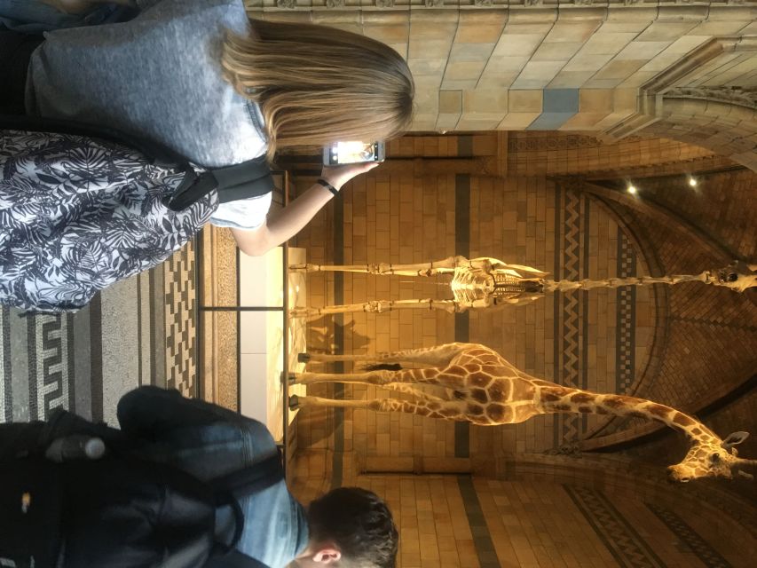 London: Natural History Museum Entry Ticket and Guided Tour - Hintze Hall and the blue whale