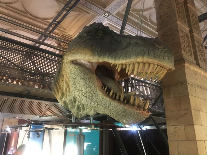 London: Natural History Museum Entry Ticket and Guided Tour - Evolution, butterflies, and the range of life