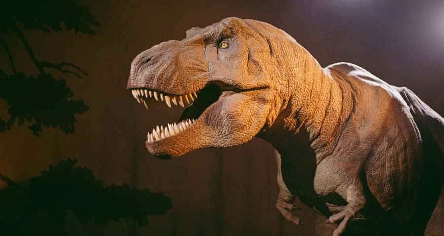 London: Natural History Museum Express Tour & Audio App - Why the self-guided format suits some visitors