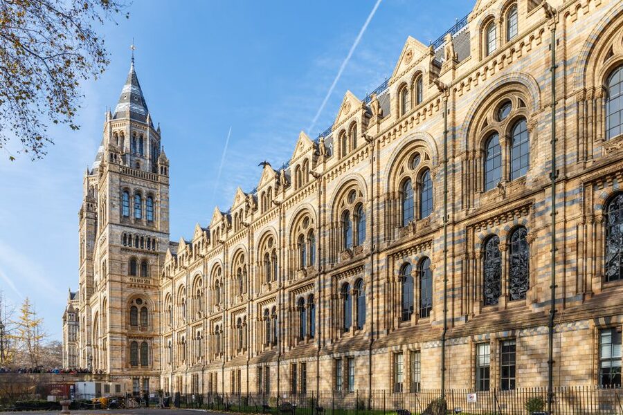 London: Natural History Museum Guided Tour - Key points to know before booking