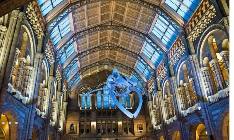 London: Natural History Museum Guided Tour w/ Priority Entry - Meeting the guide near South Kensington