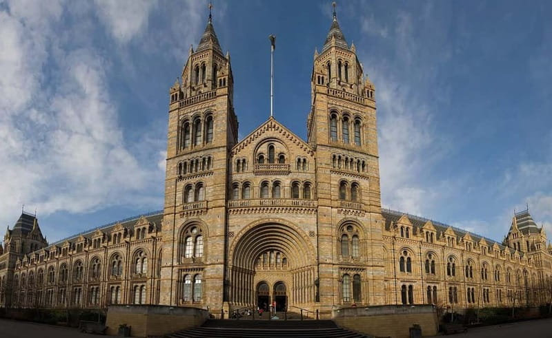 London: Natural History Museum Guided Tour w/ Priority Entry - Hintze Hall and the blue whale