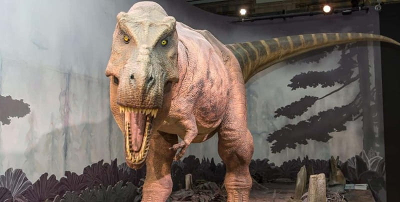 London: Natural History Museum Guided Tour w/ Priority Entry - Earth science, volcanoes, and rare gemstones