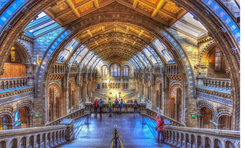 London: Natural History Museum Guided Tour w/ Priority Entry - The Darwin Centre and scientific research