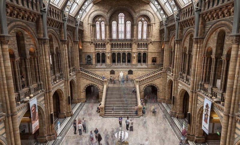 London: Natural History Museum Guided Tour w/ Priority Entry - Dinosaurs, including the animatronic T. rex