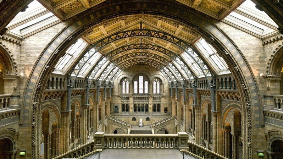London: Natural History Museum Guided Tour - Iguanodon teeth and the first steps into prehistory