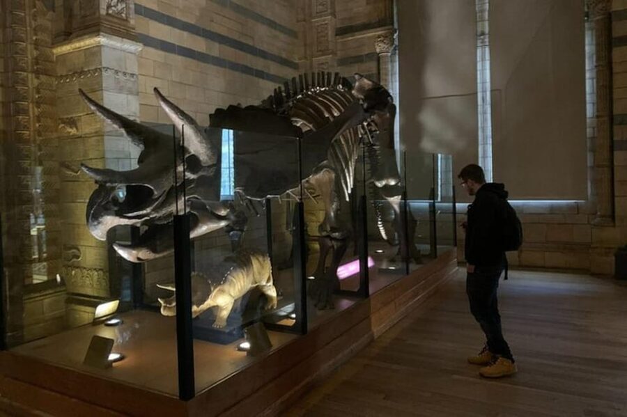 London: Natural History Museum Private Tour & Skip the line - Why a private museum tour helps at the Natural History Museum
