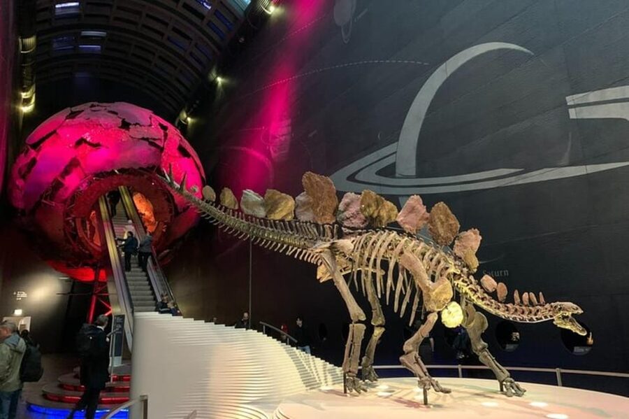London: Natural History Museum Private Tour & Skip the line - Meeting near Exhibition Road