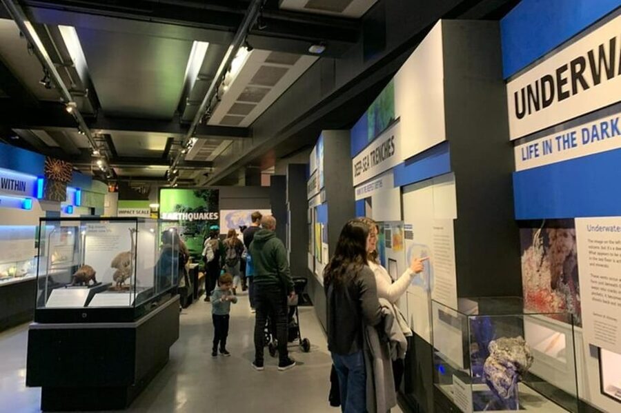 London: Natural History Museum Private Tour & Skip the line - Giraffes, a blue marlin, and a very old tree