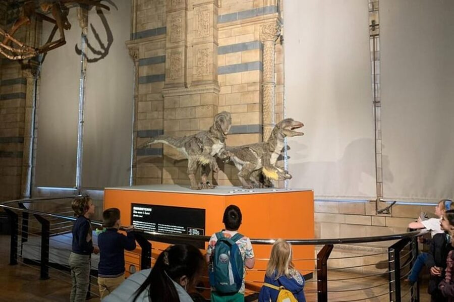 London: Natural History Museum Private Tour & Skip the line - What Damiano and Stefania bring to the visit