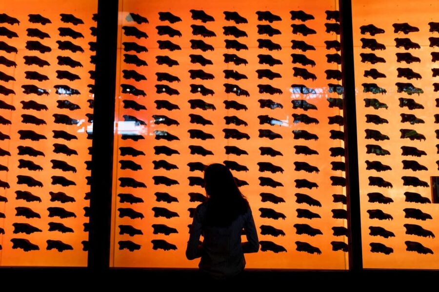 Los Angeles: La Brea Tar Pits Museum Ticket - Who will enjoy La Brea most