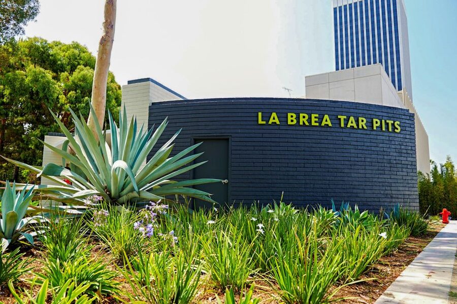 Los Angeles: La Brea Tar Pits Museum Ticket - Why La Brea feels different from a normal museum