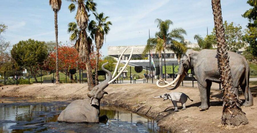 Los Angeles: La Brea Tar Pits Museum Ticket - Pit 91 and the active excavation story