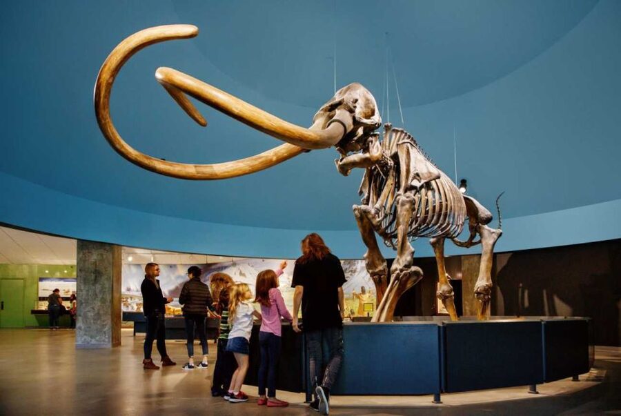 Los Angeles: La Brea Tar Pits Museum Ticket - The Fossil Lab puts the science in view