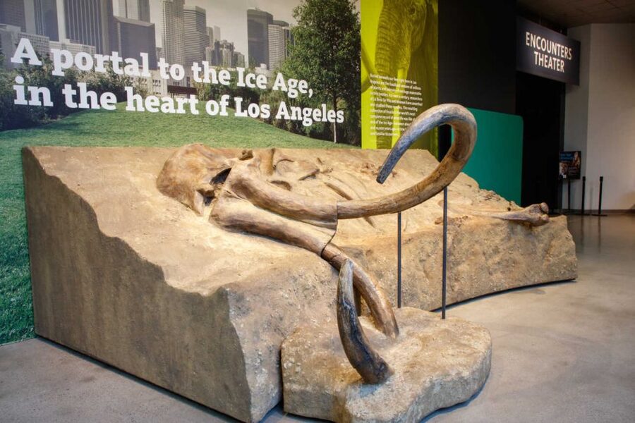 Los Angeles: La Brea Tar Pits Museum Ticket - Pleistocene Gardens and the outdoor break