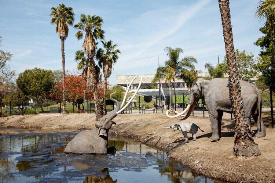 Los Angeles: La Brea Tar Pits Museum Ticket - Starting outside at the bubbling tar pits