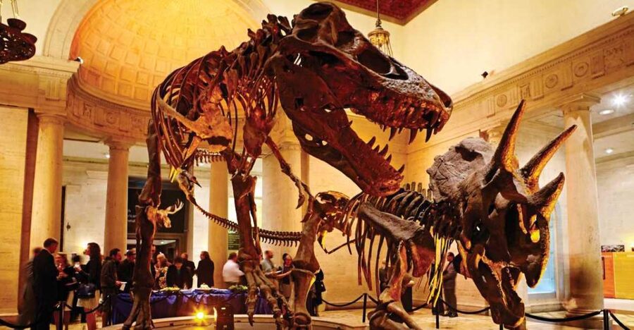 Los Angeles: Natural History Museum of LA Entry Ticket - Key points to know before you go